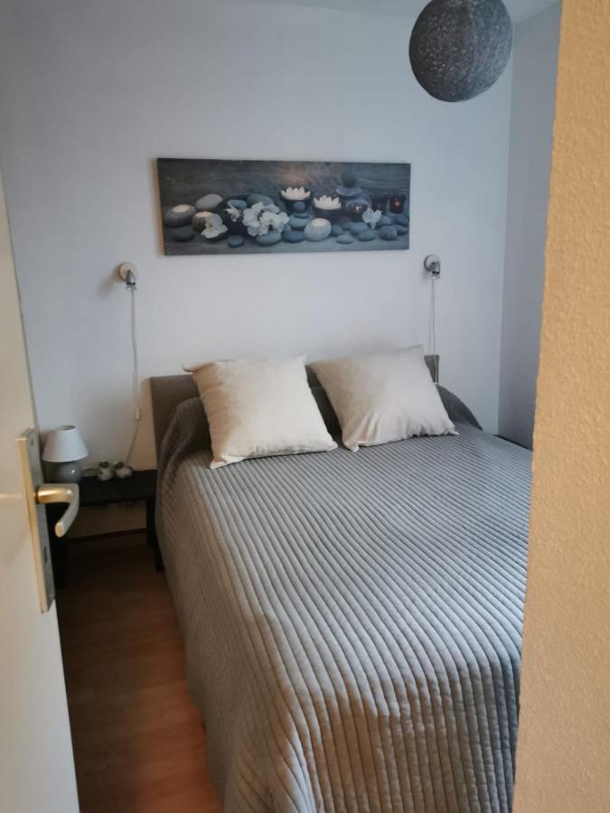 Beau T3 Place Parking, Vue Degagee Proche Centre Bagnères-de-Luchon Eksteriør billede